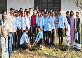 Tree Plantation