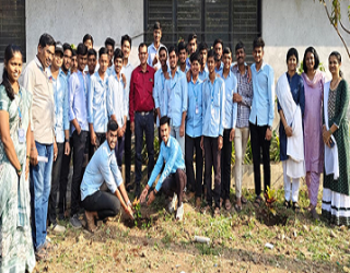 TREE PLANTATION