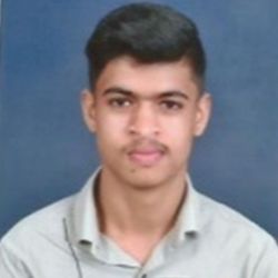 Tejas Vivek Kulkarni 